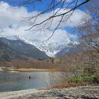 上高地開山四月，雪景與野猴的邂逅。