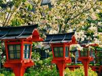京都🇯🇵六孫王神社