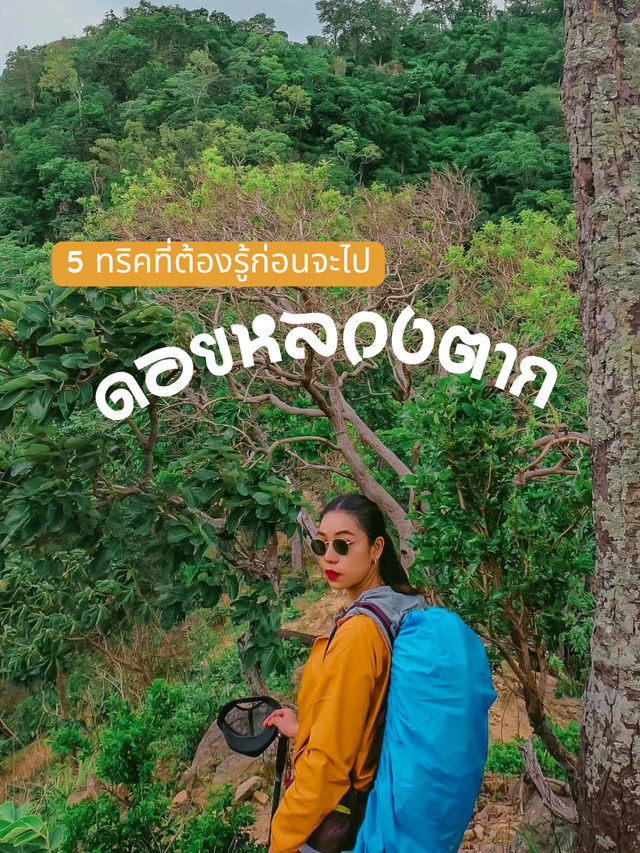 5 ทริคเดินป่า ดอยหลวงตาก แบบสนุกและรอดชัวร์
