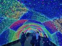 【東京】色とりどりに輝くよみうりランドのイルミネーション