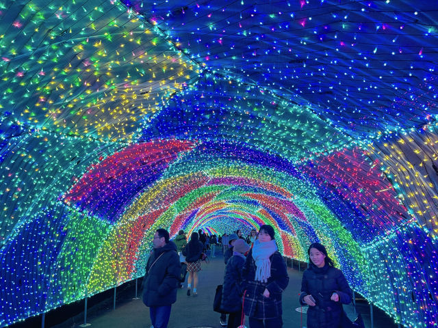 【東京】色とりどりに輝くよみうりランドのイルミネーション