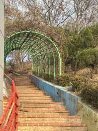 대전 뷰좋은 산책 코스 ‘대동하늘공원’