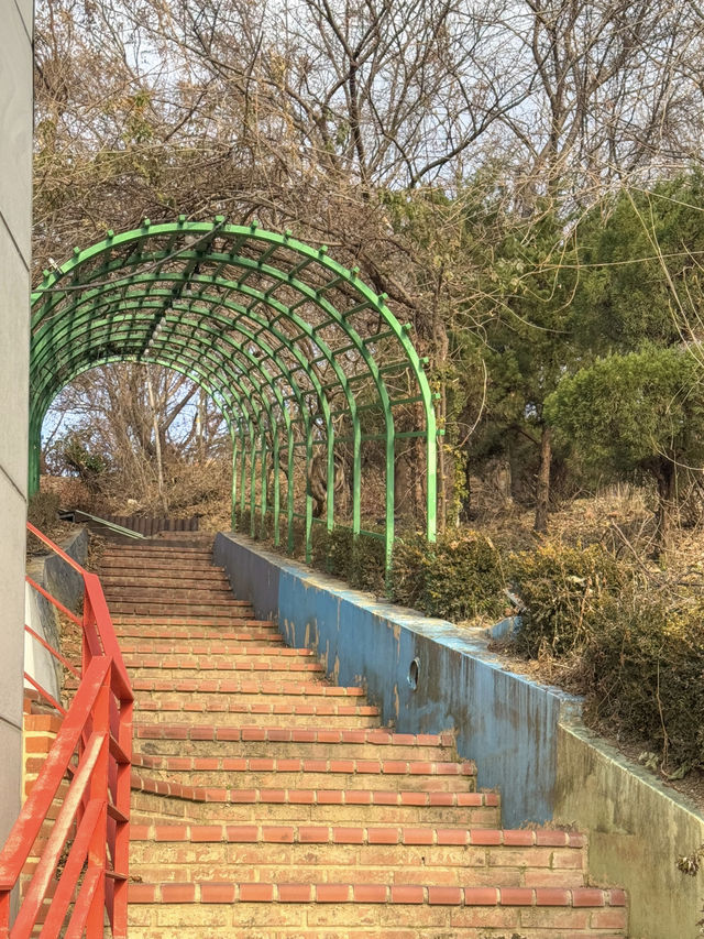 대전 뷰좋은 산책 코스 ‘대동하늘공원’