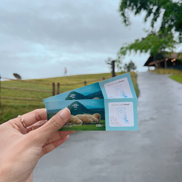 🐑 ฟาร์มแกะเปิดใหม่ในตัวเมืองเชียงราย