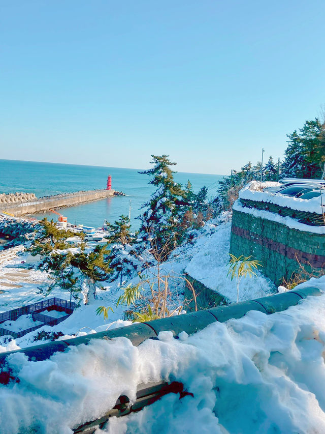 ☃️양양 낙산사 