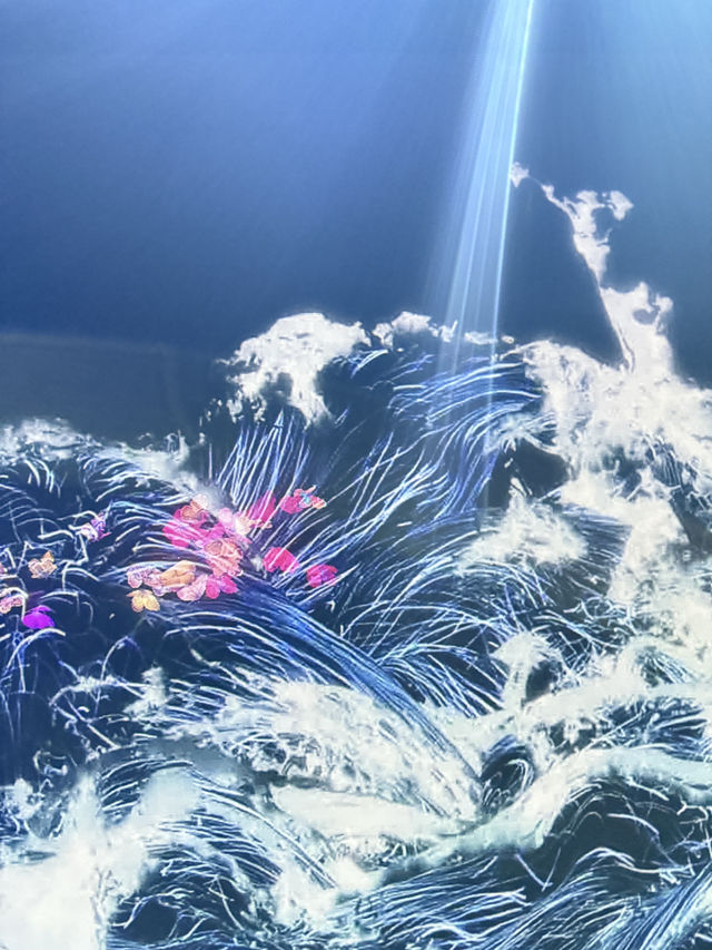 Teamlab Borderless พิพิธภัณฑ์โตเกียว