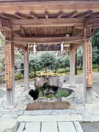 【熊本　出水神社】