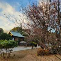 Ueno Onshi Park