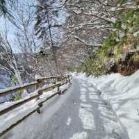 Nishinokawara Park