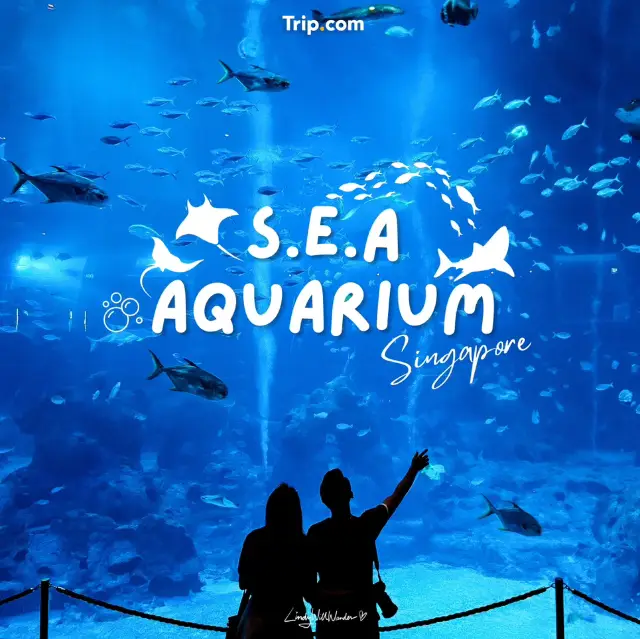 ดูปลา…มันเพลินอย่างนี้นี่เอง!!