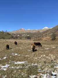 Kazbegi: A Journey Through the Caucasus