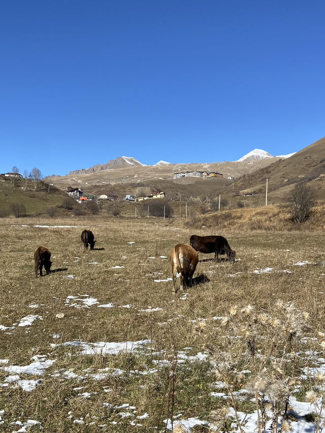 Kazbegi: A Journey Through the Caucasus