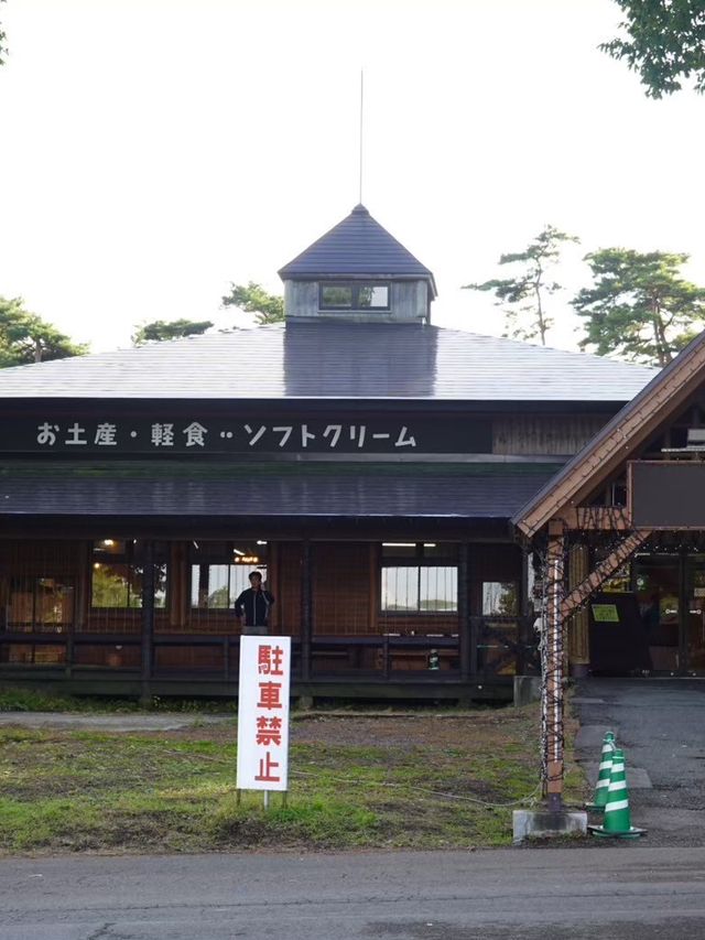 【小岩井農場】本場の牧場ならではの魅力🐄