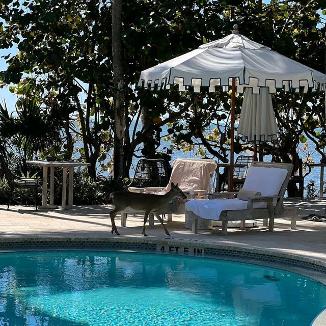 Little Palm Island Resort – Florida Keys, FL