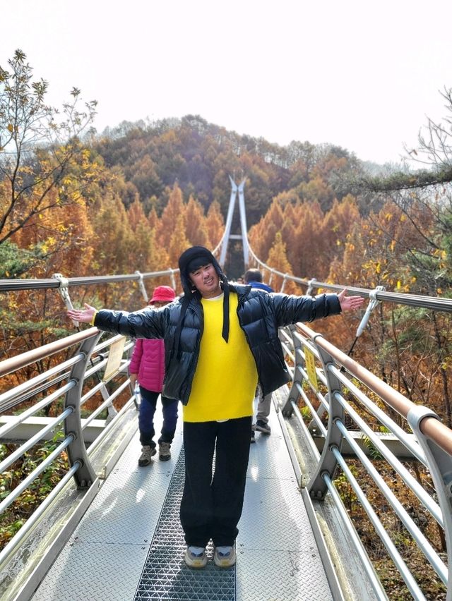 매년 가을이면 꼭 가야할 대전여행지
