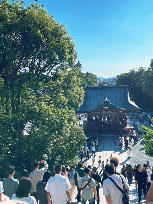 ไหว้พระ ขอพร ที่ศาลเจ้า | คามาคุระ ⛩️🏮