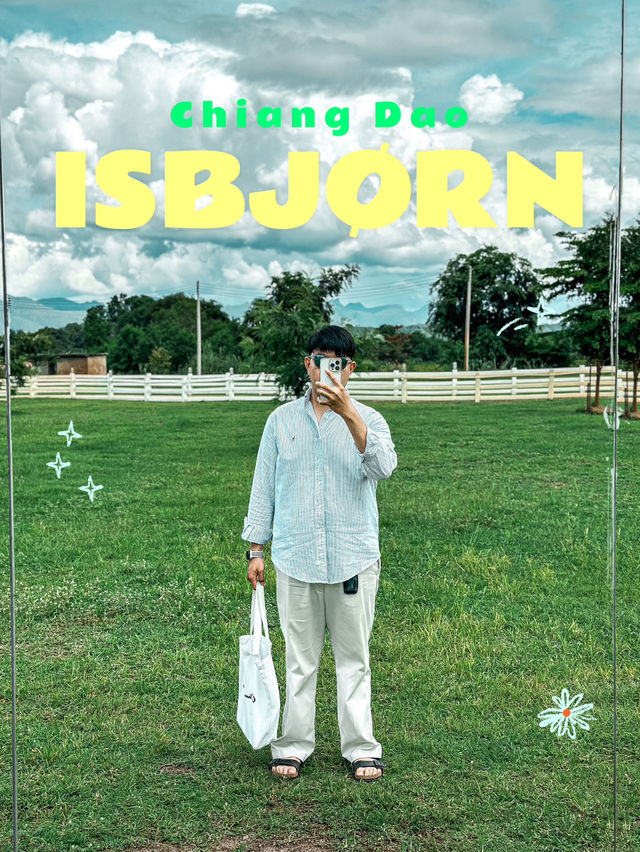 เช็คอินคาเฟ่ที่ห้ามพลาดในเชียงดาว 🥤