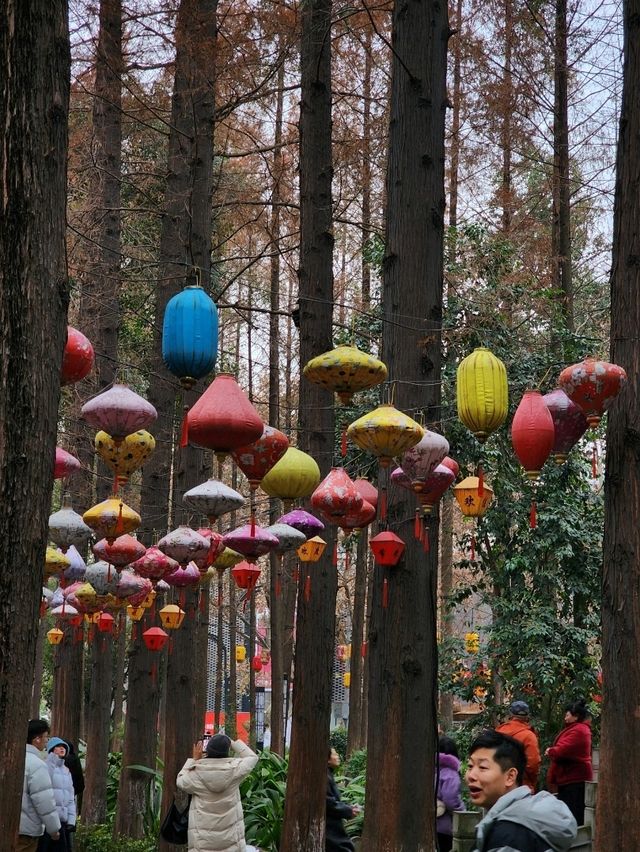 ✨Easy Day trip in Chengdu 