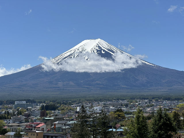 A Perfect Day Trip from Tokyo to Lake Kawaguchiko – Nature, Culture, and Mount Fuji Views