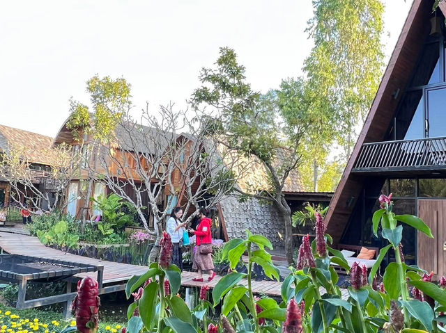 คาเฟ่ สวนปลายตะวัน กาฬสินธุ์