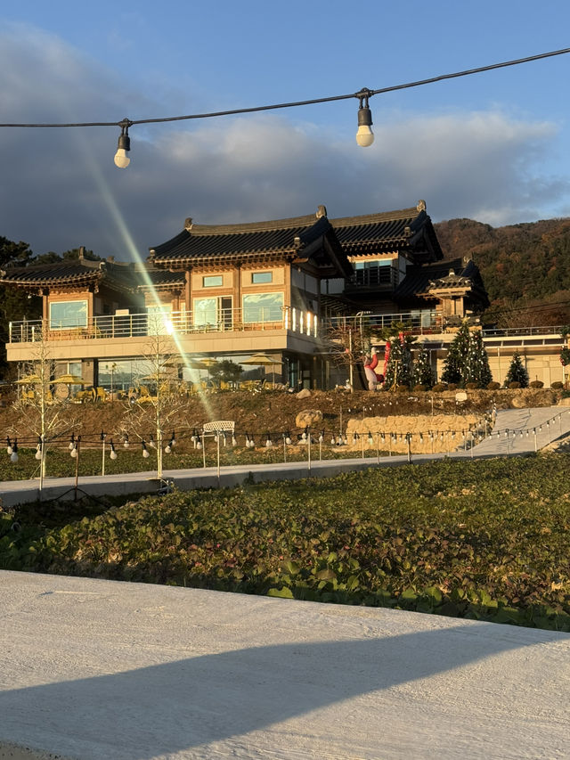 한옥의 매력과 계절 한정 메뉴, 그리고 독특한 정원 풍경