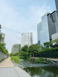 คลองช็องกเยชอน (Cheonggyecheon Stream)