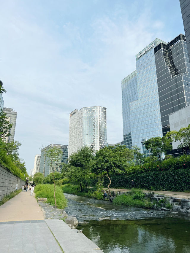 คลองช็องกเยชอน (Cheonggyecheon Stream)