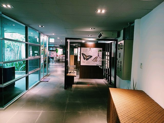 泰國曼谷特色博物館景點:曼谷蝴蝶館。免費參觀，適合打卡拍照📸親子遊