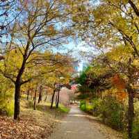 산책하기 좋은 서울공원 3곳 🌳