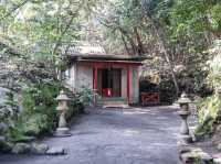 【鹿児島県】 大正噴火の名残りを伝える桜島の噴火遺産『黒神埋没鳥居』