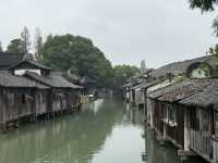 Drizzling Wuzhen at its upmost beauty