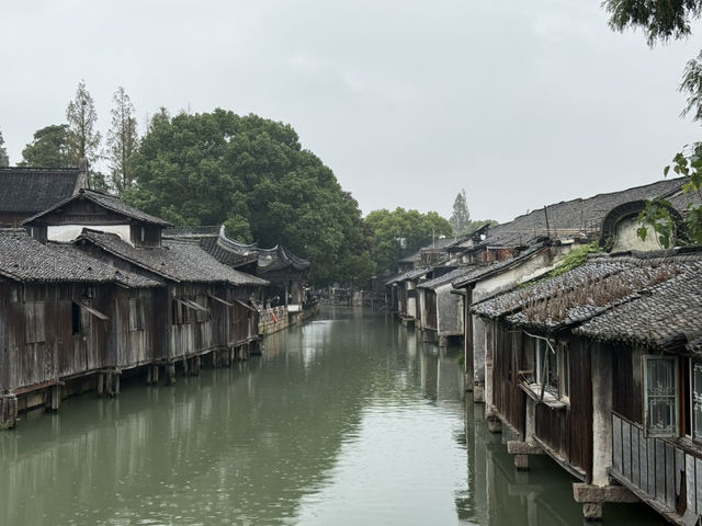 Drizzling Wuzhen at its upmost beauty