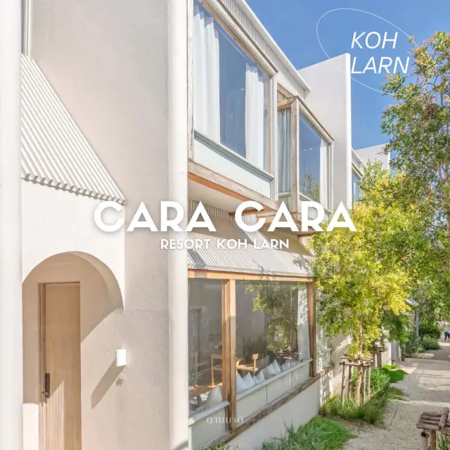 CaraCara Koh Larn 🌿✨ 在 Koh Larn 放鬆一下。