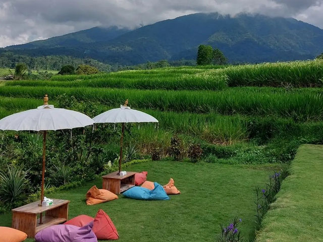 Jatiluwih Rice Terraces