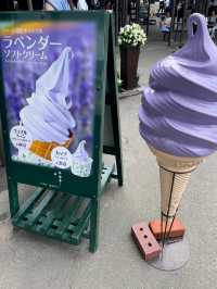 여름에 가기 좋은 훗카이도 비에이 투어🌻🌷🌻🌷