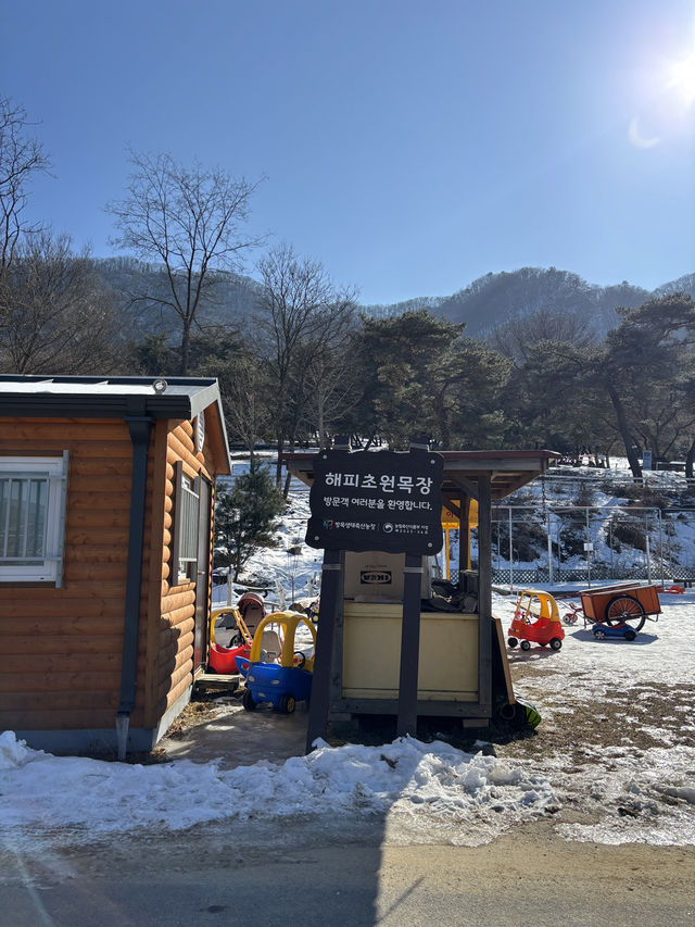 아름다운 설경과 동물들을 만날 수 있는 춘천 목장🐑