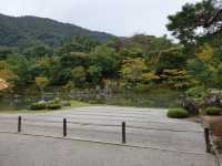 京都天龍寺參訪體驗：嵐山秋日禪境，夢幻曹源池庭園