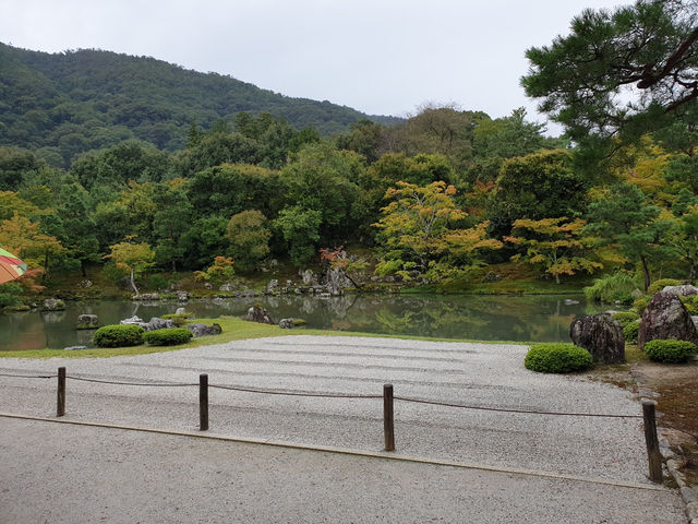 京都天龍寺參訪體驗：嵐山秋日禪境，夢幻曹源池庭園