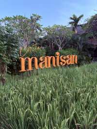 Manisan｜夢幻稻田中的絕美打卡景點