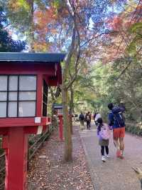 A Quick Mountain Hike to Mt. Takao