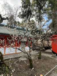 北野天滿宮賞梅