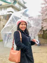 Osaka in Bloom: 2-Day Cherry Blossom Adventure & Universal Studios Magic