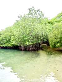 Menjangan Island; Bali’s Secret Dive Site