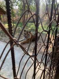 Day Trip to Myanmar’s one and only Safari Park 🦓 