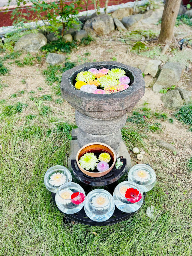 【東京】萬年山法輪寺：東京最美花手水舍，季節限定縷空御朱印