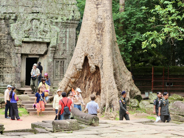 Where Nature and History Intertwine: Ta Prohm Temple 