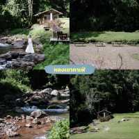 🌿 มัดรวม 11 คาเฟ่ จ.น่าน ที่ไม่ควรพลาด