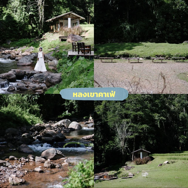 🌿 มัดรวม 11 คาเฟ่ จ.น่าน ที่ไม่ควรพลาด