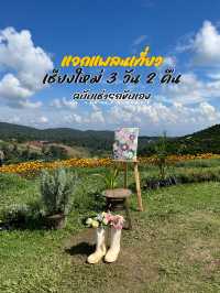 เที่ยวเชียงใหม่ 3 วัน 2 คืน