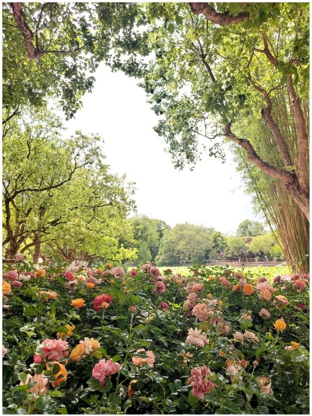 สวนสาธารณะในเมืองใหญ่ (Changchun-Kunming)